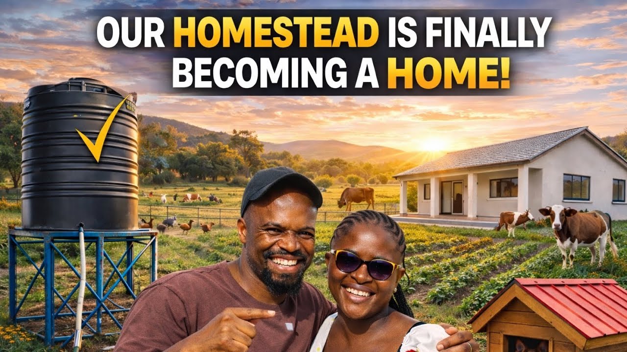 Распаковка подарков из Великобритании || Сюрпризы из сельской жизни