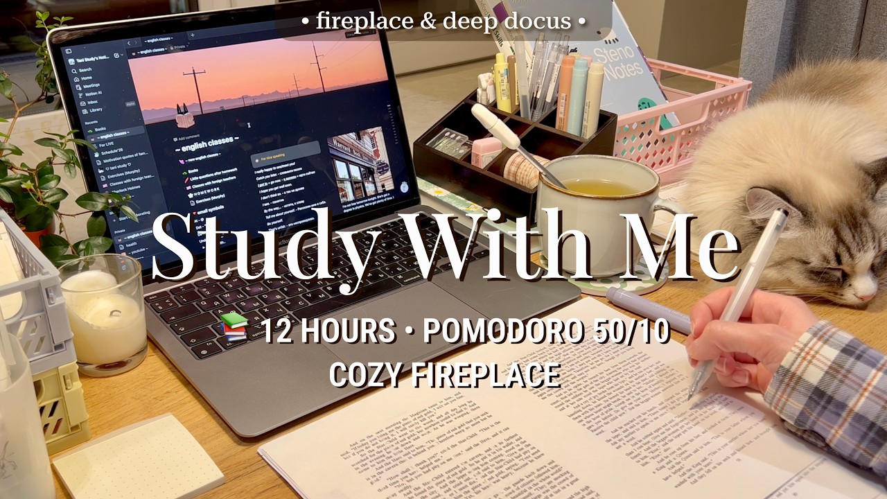 12 HR • STUDY WITH ME | Pomodoro 50/10 ️ Deep Focus - YouTube