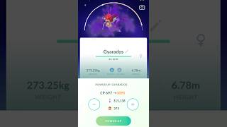 Shinies Only Max Out Monday!!! Shadow Pokemon Max Outs!!! #pokemongo #shinypokemon