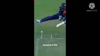 ms dhoni fans #lenka everything at once