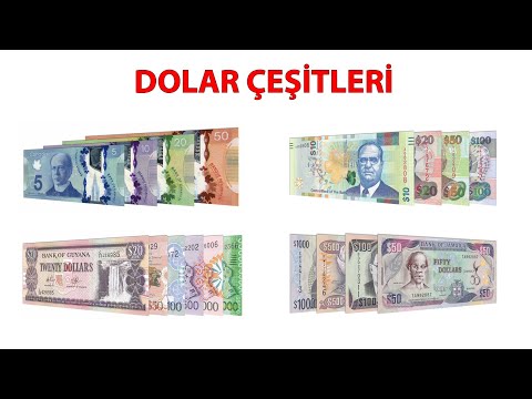 Para Birimi Dolar Olan Ülkeler - Dolar Çeşitleri