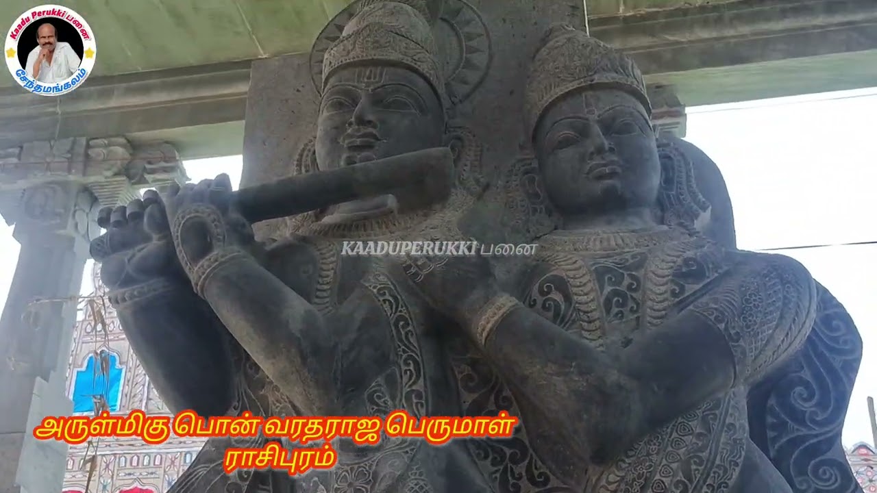 அருள்மிகு #பொன் வரதராஜ பெருமாள்#இராசிபுரம்#