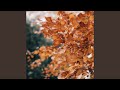 束思流景 打坐古筝曲 束思流景 打坐古筝曲