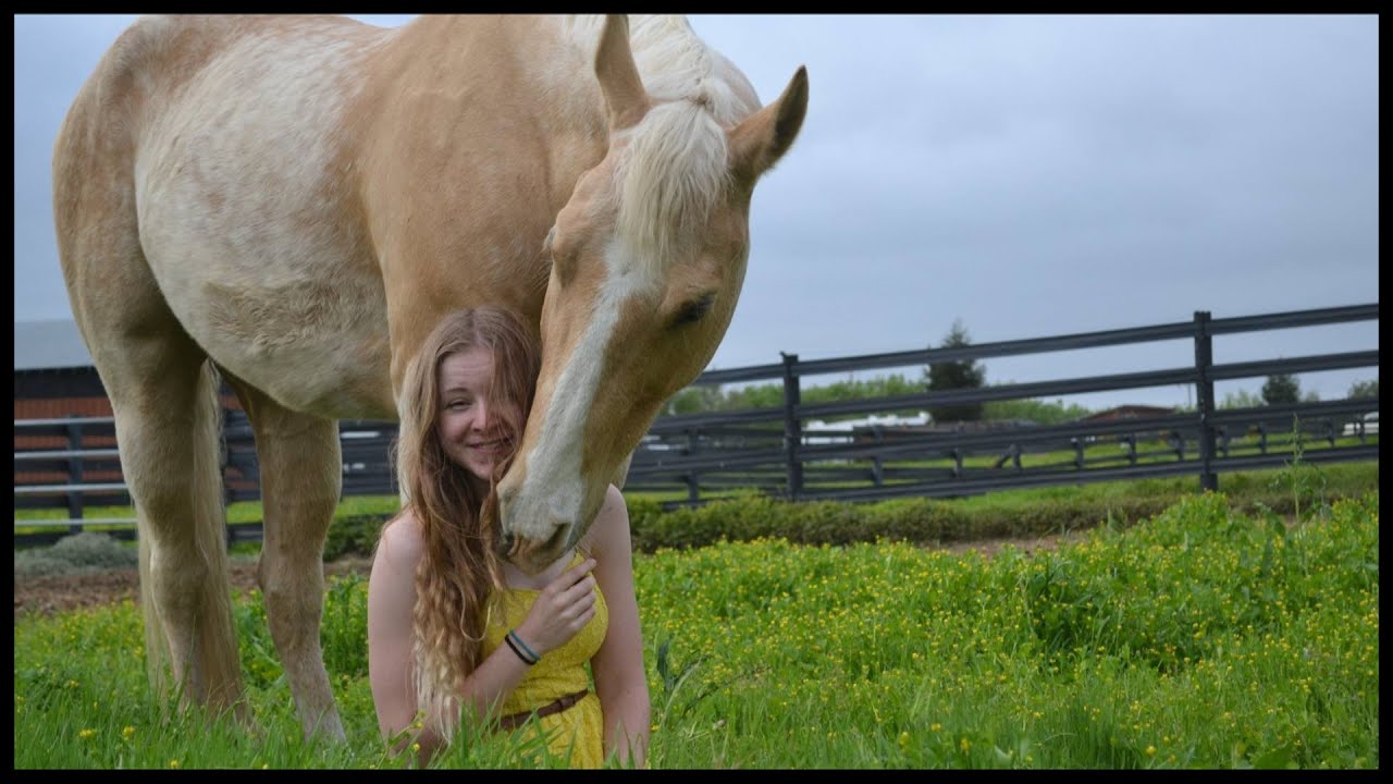 Goodbye Sunny || You Were Worth It In The End