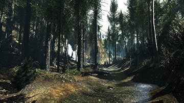 CryENGINE 3 SDK Forest Walkthrough VeryHigh DX11