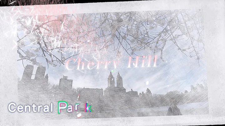 New York【Cherry Hill | in Central Park】April 11, 2022 NYC Walking Tour, Travel Guide【4K】