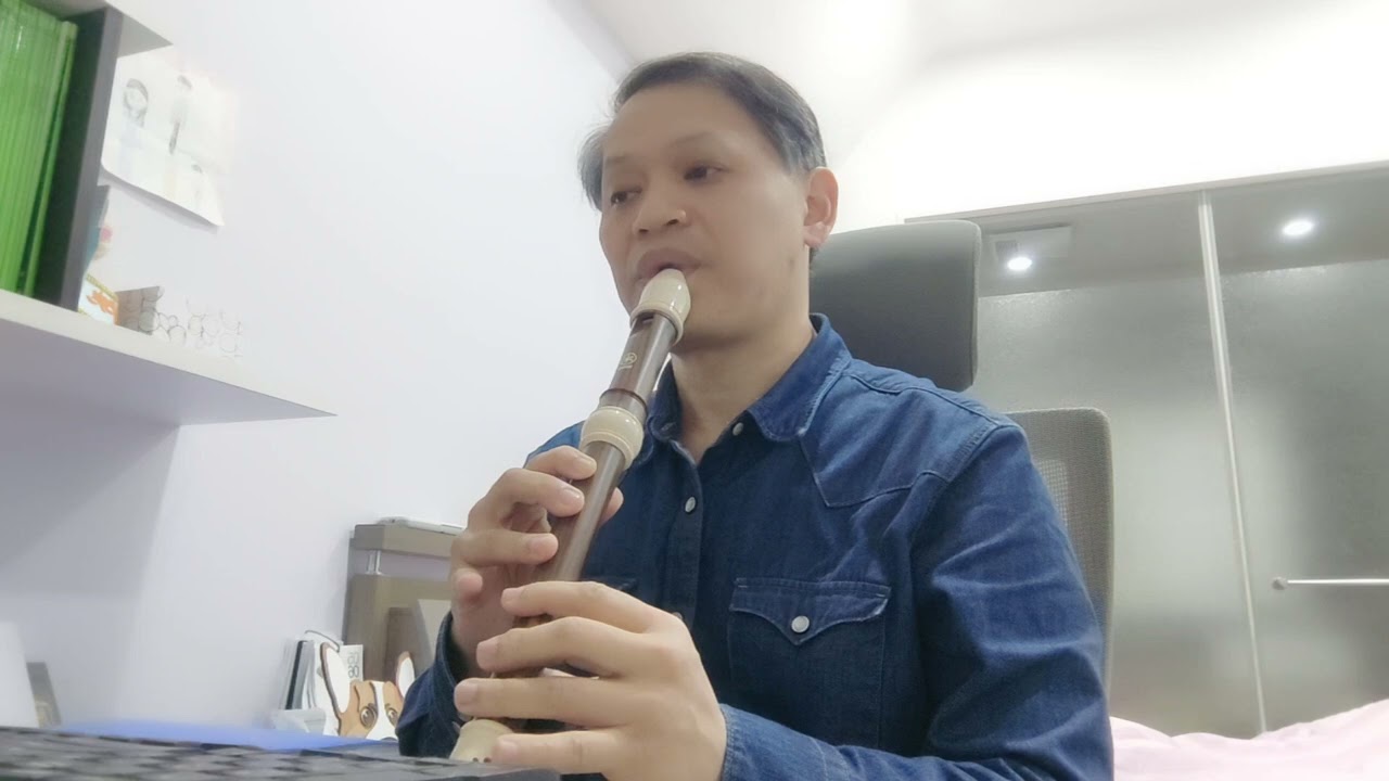 Havana (alto recorder cover)