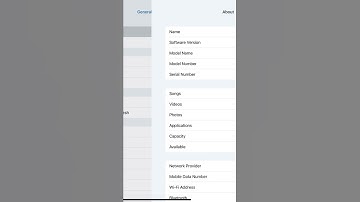 How to find the IMEI number on iPad