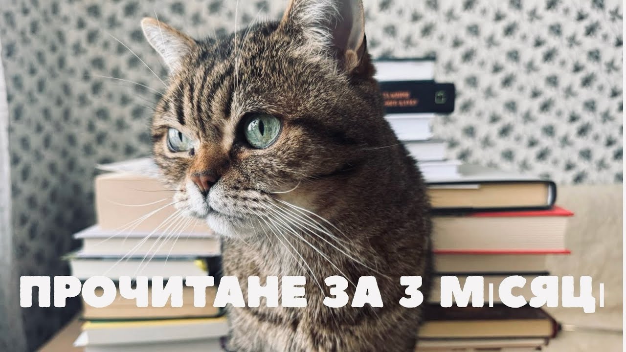 26 прочитаних книг і красива Діна