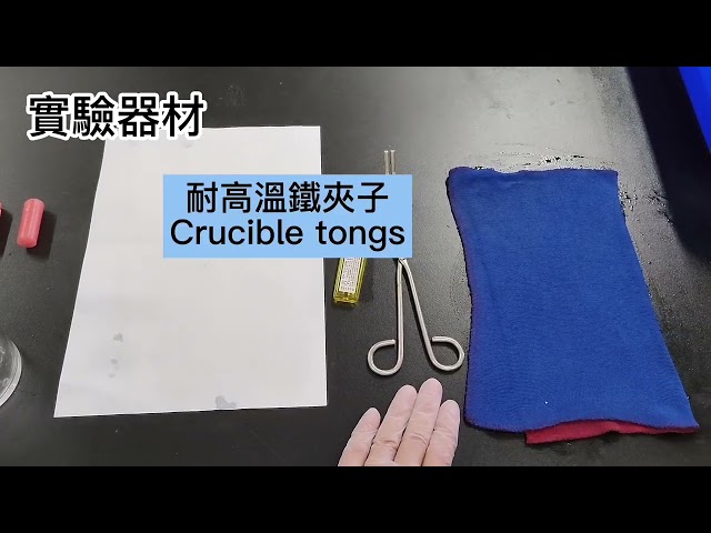 陳語嫻 - 參與第一屆自然科學雙語素養實驗影片競賽，獲得佳作