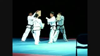 Itf Korean Demo In Euro 2007