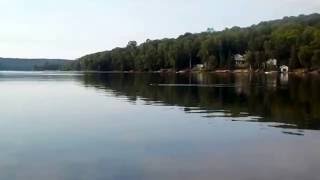 Just A Loon On Drag Lake In The Haliburton Highlands | #draglake #myhaliburtonhighlands |