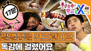 [EBS놀이터]❗️긴급상황! 우리 몸 X파일❗️｜말벌집을 건드리면 어떻게 해야할까?🐝🐝｜독감에 걸렸어요😷｜2편 모아보기