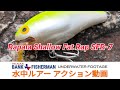 #ラパラFATRAP #ラパラ #ファットラップ #水中ルアー動画 [ UNDERWATER FOOTAGE ] Rapala Shallow Fat Rap SFR-7 水中ルアーアクション動画