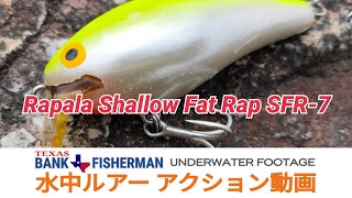 #ラパラFATRAP #ラパラ #ファットラップ #水中ルアー動画 [ UNDERWATER FOOTAGE ] Rapala Shallow Fat Rap SFR-7 水中ルアーアクション動画