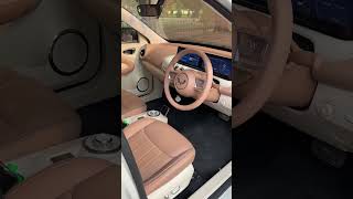 MG Binguo EV Owner Review