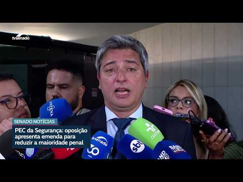 Portinho defende redução da maioridade penal para 14 anos em crimes graves