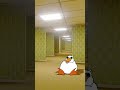 duck disappears animated