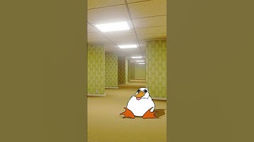 duck disappears animated