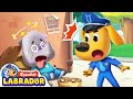 🔍Sheriff Labrador - No Aceptes Comida de Extraños😵‍💫| EP 54 | Videos para Niños | BabyBus en Español