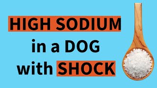 Hypernatremia in a dog with hypovolemic shock