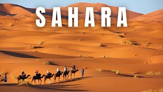 Sahara Unveiled: Top 10 Marvels of the Desert