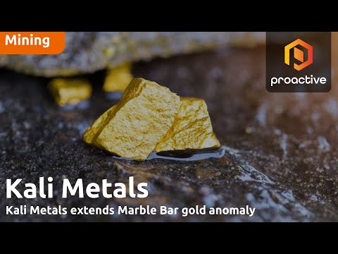 Kali Metals MD on gold developments at Marble Bar