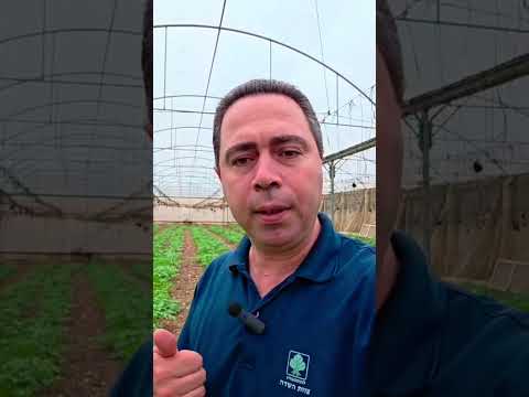 يقطين حممووت حب جنين فلسطين متابعين اكسبلور