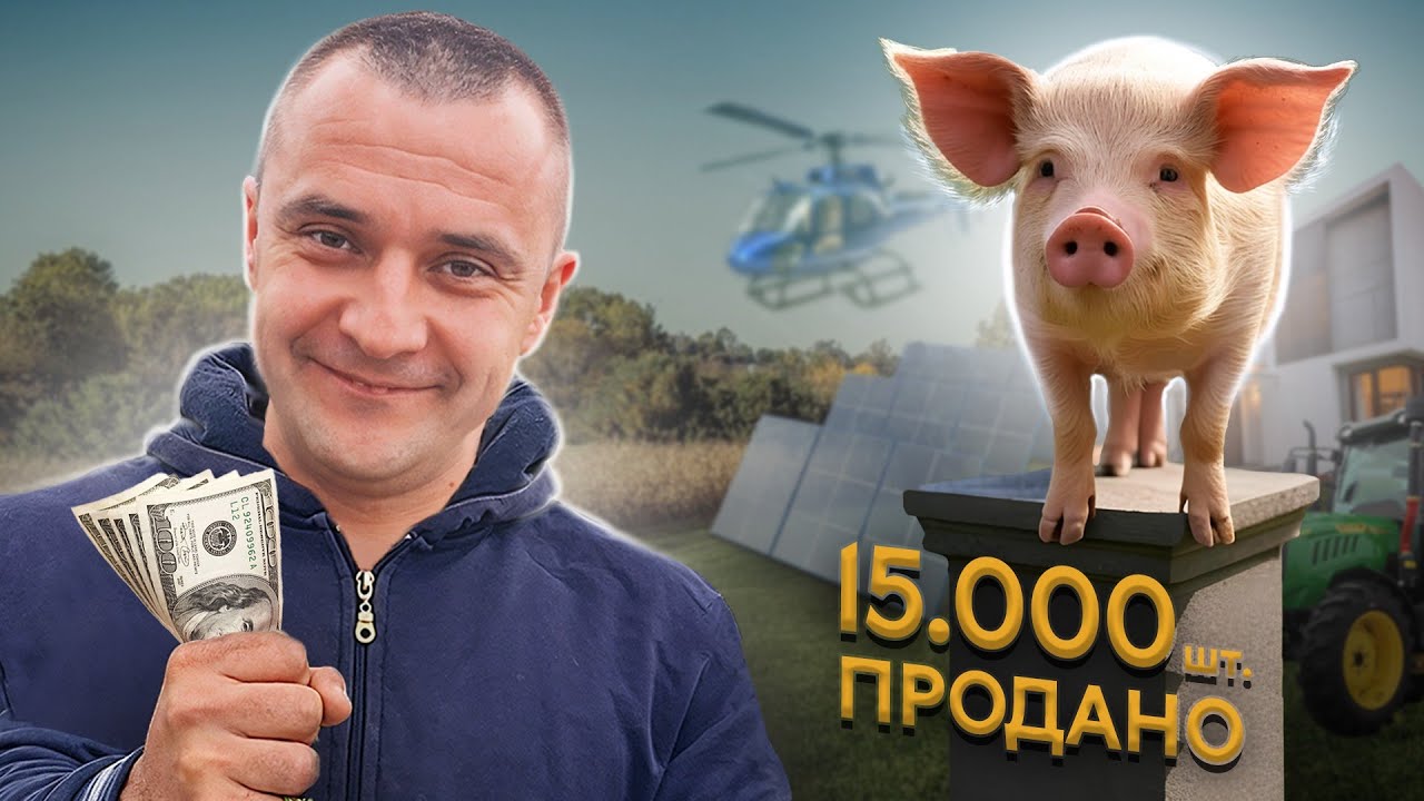 ЯК ВИРОЩУЮТЬ ЧИСТОПОРОДНИХ СВИНЕЙ. ІСТОРІЯ УСПІХУ ФЕРМЕРСЬКОГО БІЗНЕСУ