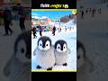 This Penguin Is TOO Cute! 😍🐧 #CuteAnimals