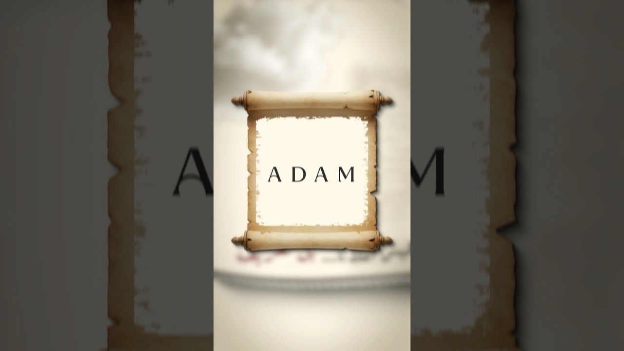 براندك Brandek