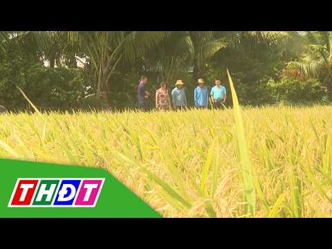 My Dien Community Center (My Tho commune) wholeheartedly supports the 1 million hectare project |...