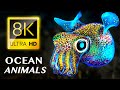 Cratures enchanteresses de locan 8k ultra