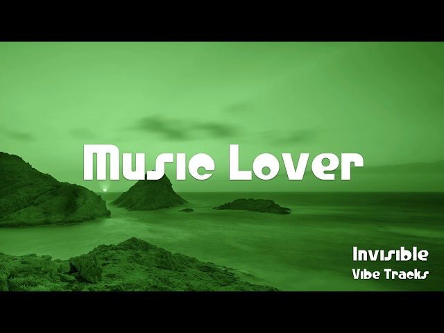 🎵 Invisible - Vibe Tracks 🎧 No Copyright Music 🎶 YouTube Audio Library
