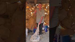 Darfi Cheese, the ancient art of curing