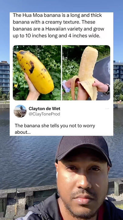 The Hua Moa banana is a long and thick banana with a creamy texture. These bananas are Hawaiian.