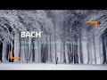[2 HOUR REPEAT] BACH: Sonata for Harpsichord &amp; Cello in D major, BWV 1028