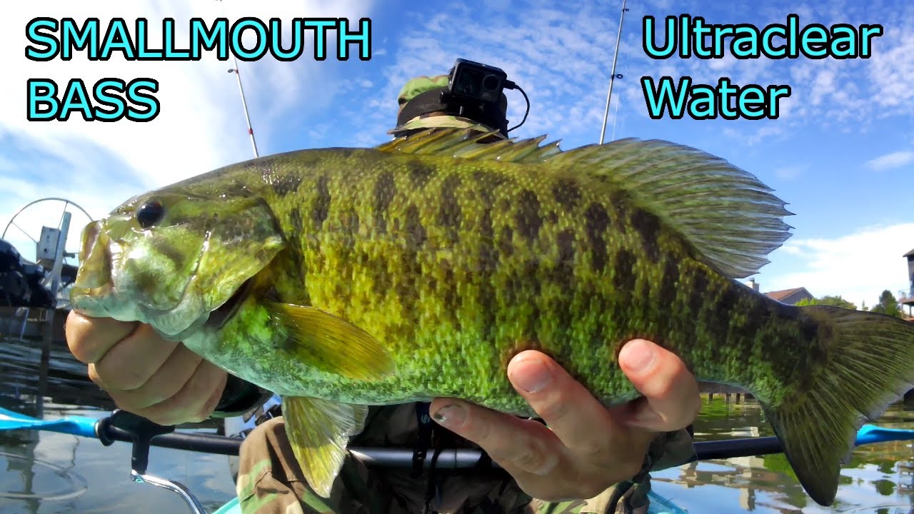 SMALLMOUTH BASS fishing in ultra clear water. Early summer kayak fishing.