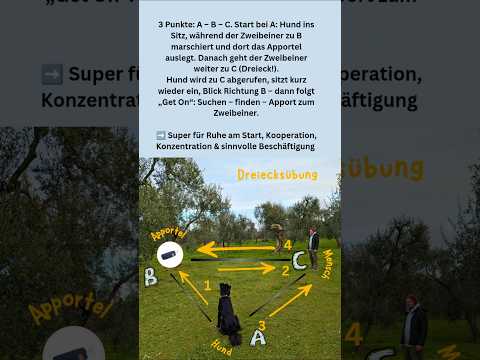 Dreiecksübung „Get On“: Suchen, finden, Apport