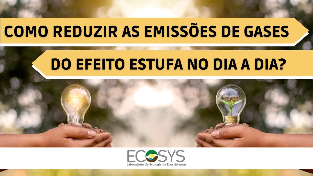 Como reduzir as emissões de gases do efeito estufa no dia-a-dia? - YouTube