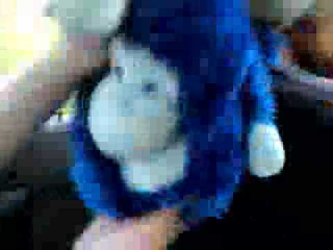 monkey blowjob!!!