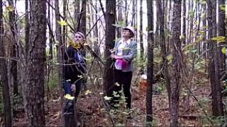 APES Biomes: The Temperate Deciduous Forest