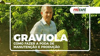 Como Fazer a Poda de Limpeza, Manutenção e Produção na Graviola?