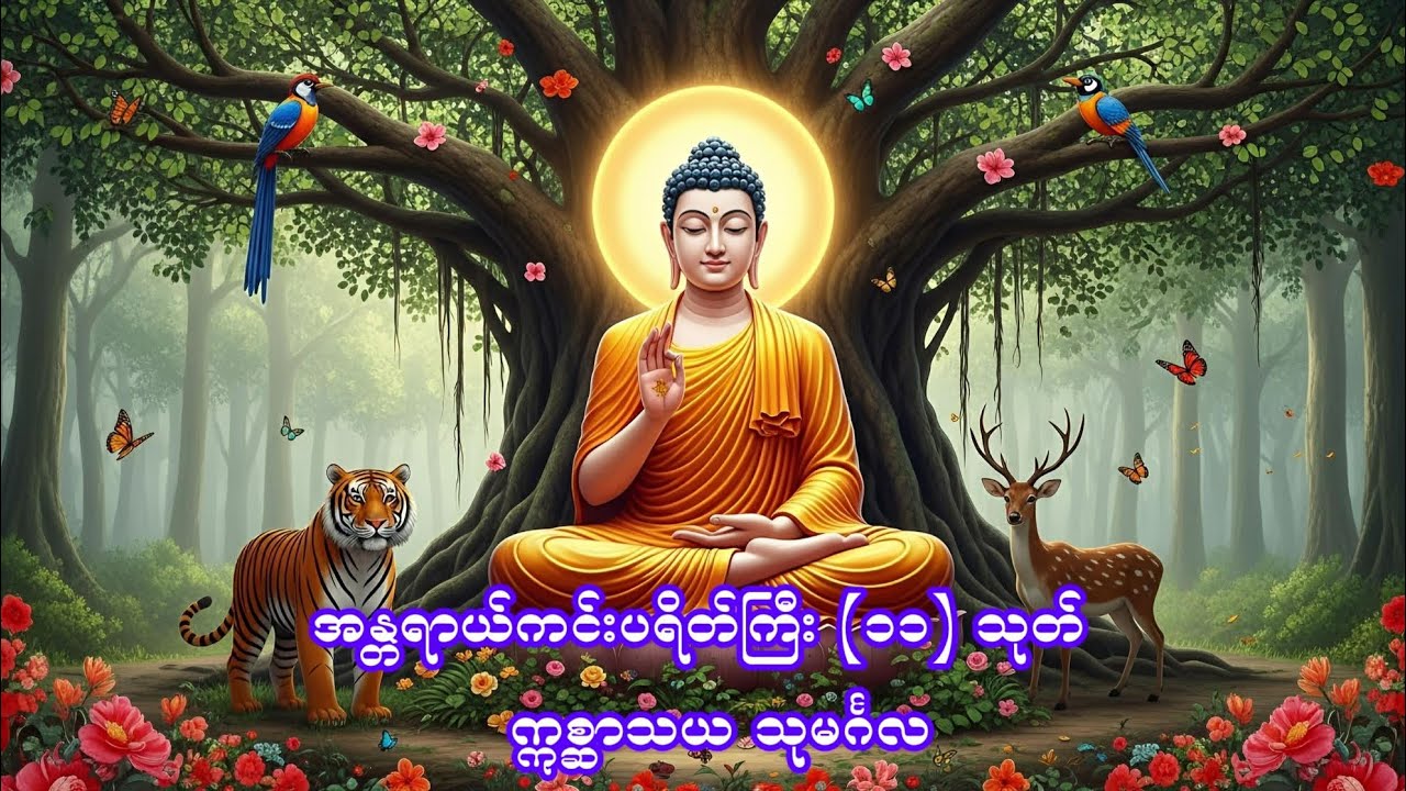 အန္တရာယ်ကင်းပရိတ်ကြီး (၁၁) သုတ်