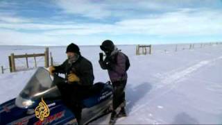 Montana floats bison relocation plan
