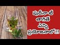 Amazing Health benefits Of Mint tea | Health Tips In Telugu | Manandari ...