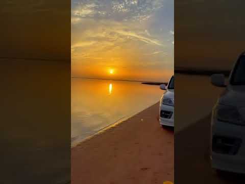 ٢٦ مارس ٢٠٢٢