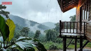 Deep Calm Rain Forest Rain and Piano for Sleeping Peacefully