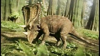 Daspletosaure VS chasmosaure (dinosaures) - ZAPPING SAUVAGE