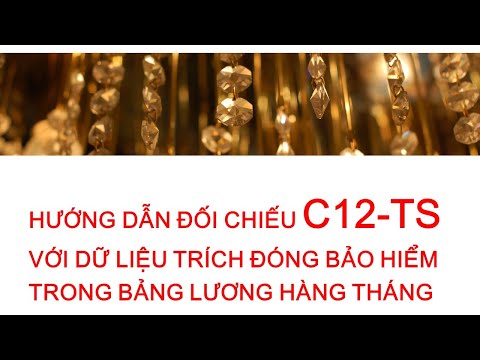 Video HCNS_ Bài 45_hướng dẫn đối chiếu C12-TS với dữ liệu... - YouTube